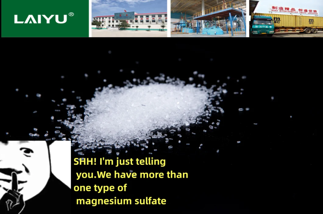 Food Grade Magnesium Sulfate Heptahydrate Epsom Salt Laiyu China